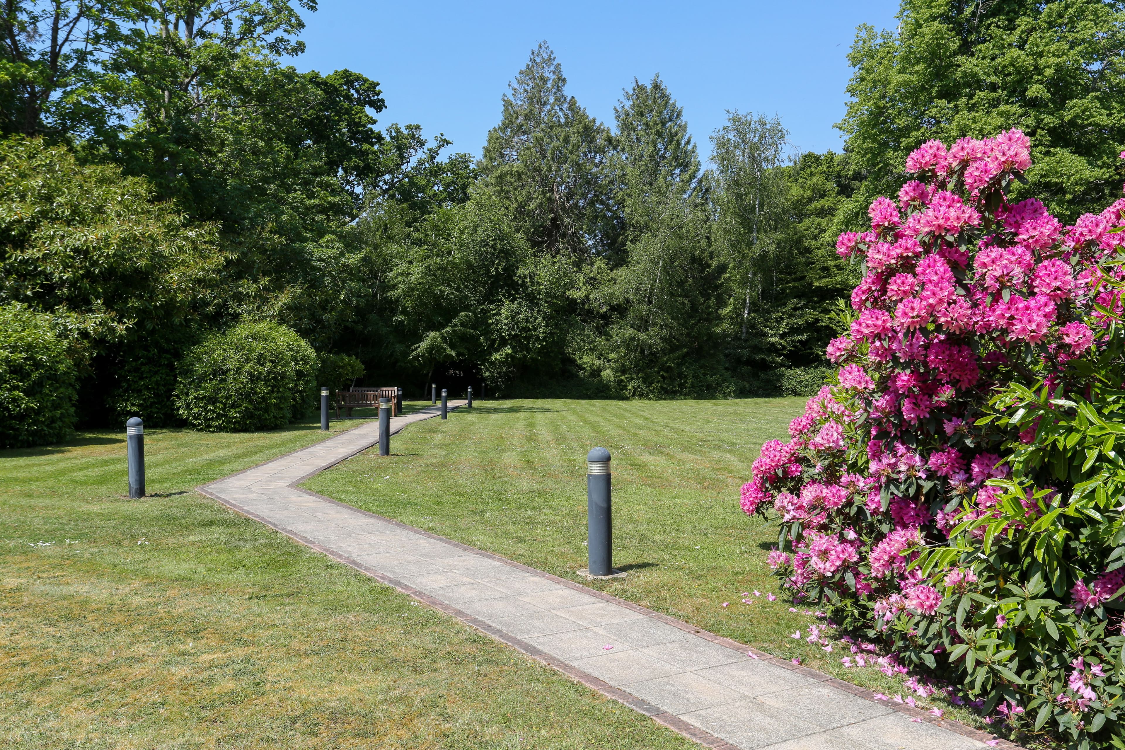 Care UK - Sway Place care home - 019