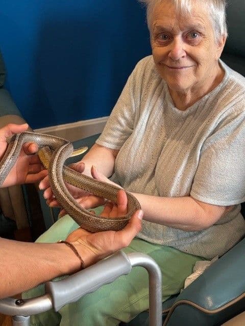 Beritaz Care - Windsor Court care home - 019