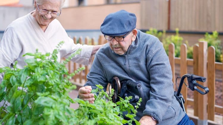Willesden Court Care Home, Willesden, NW10 9HX