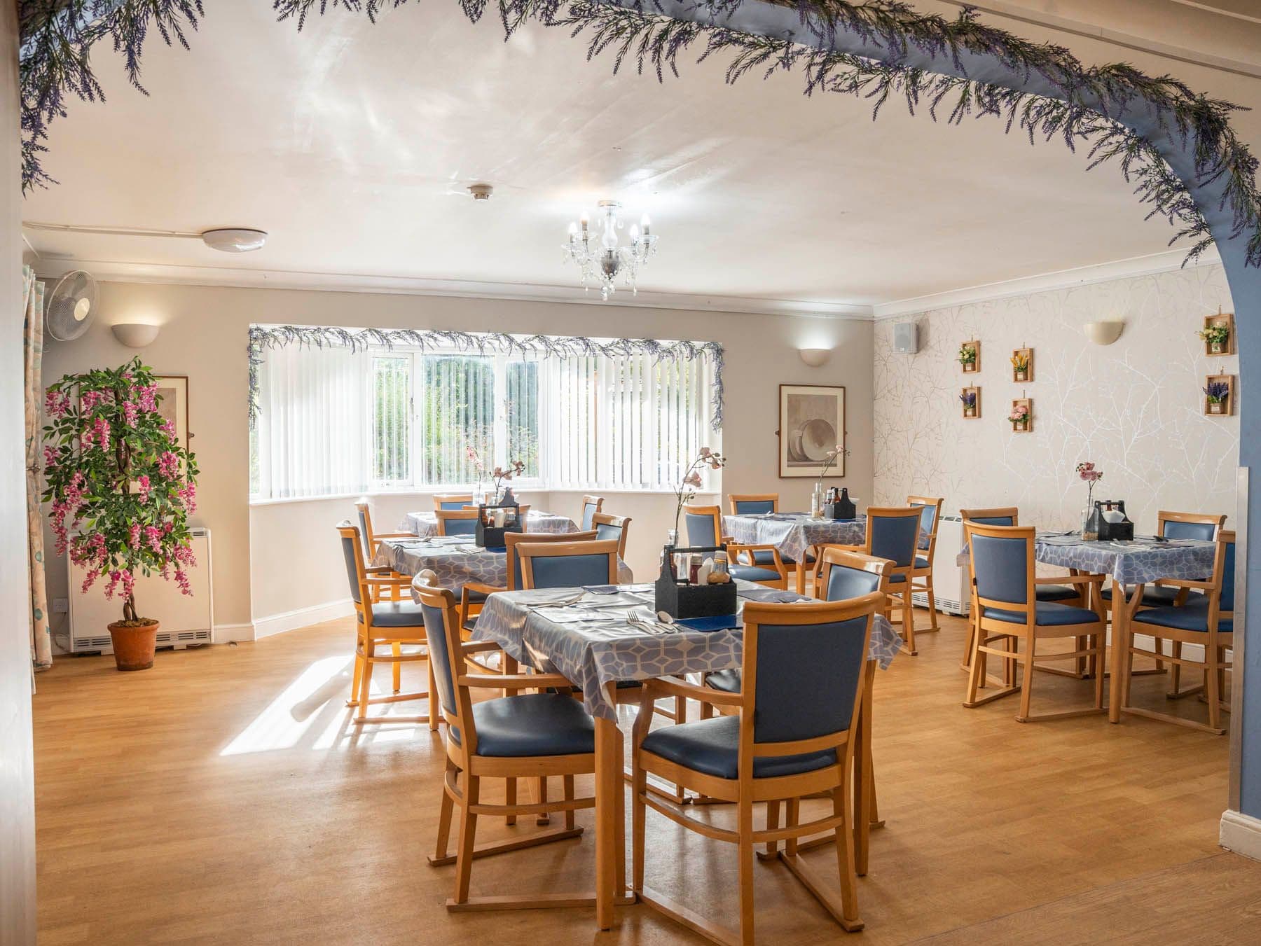 Buckland Care - Willow Bank House care home - 011