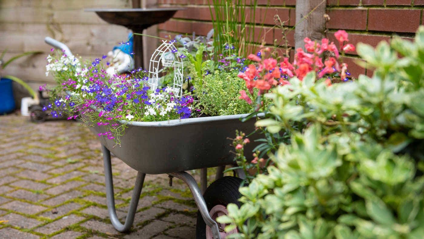 Anchor - Northbourne care home - 012