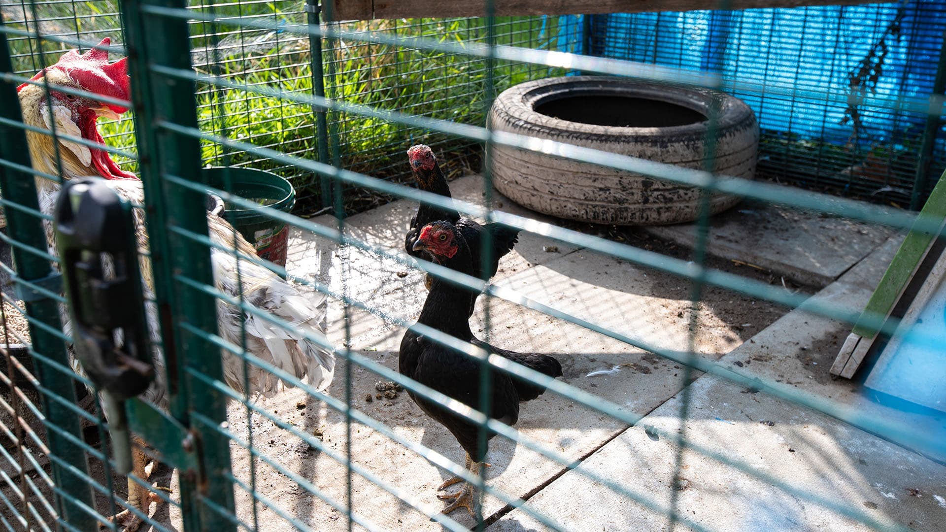 DMP Healthcare - Cherry Orchard care home - 006