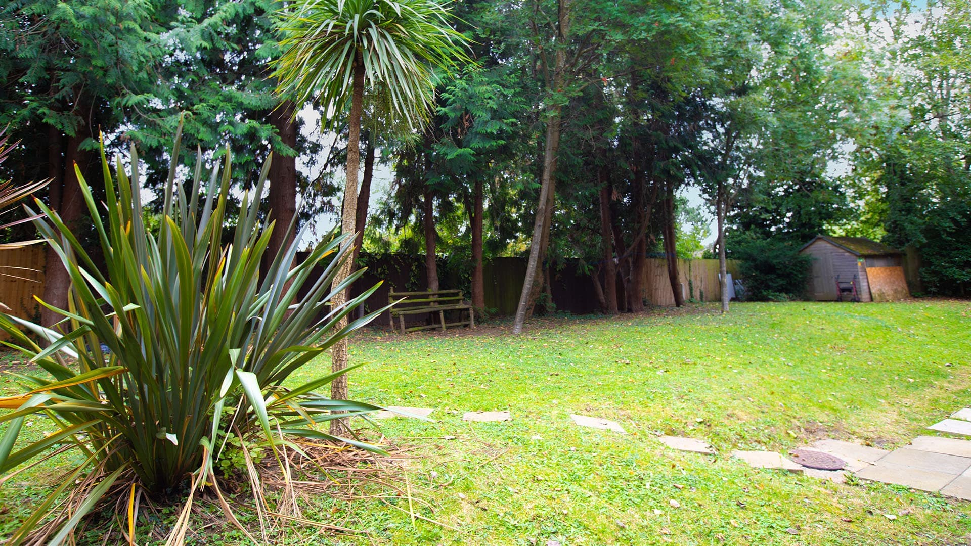 DMP Healthcare - Ogilvy Court care home - 004