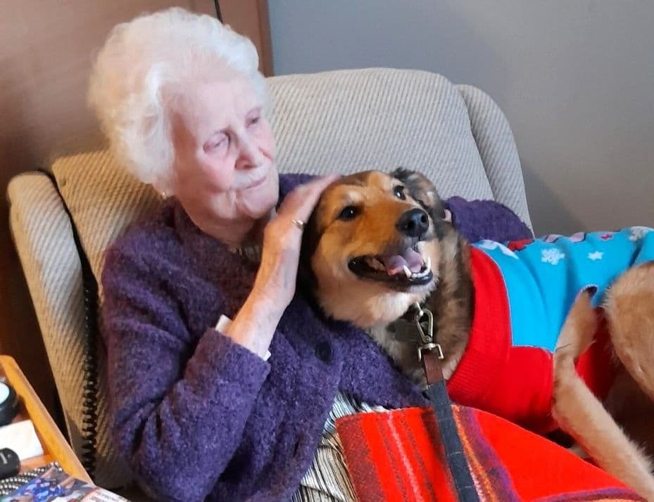 Ashberry Care Homes - The Weir Nursing care home - 004