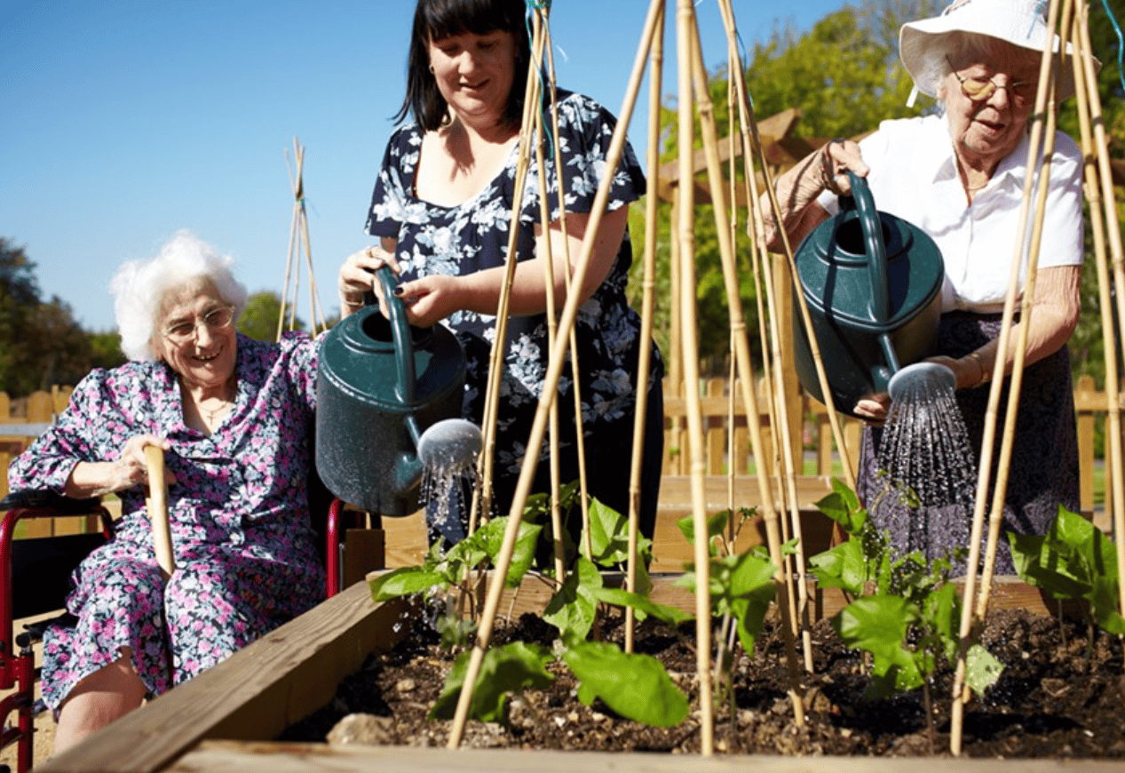 Gardening of Birch Hill care home in Berwick-upon-Tweed, Northumberland