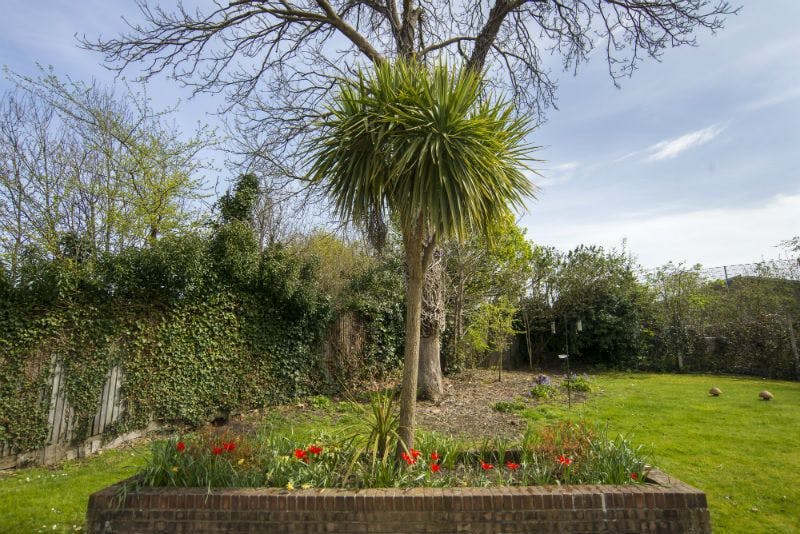 Garden area of Cumberland care home in Mitcham, Greater London
