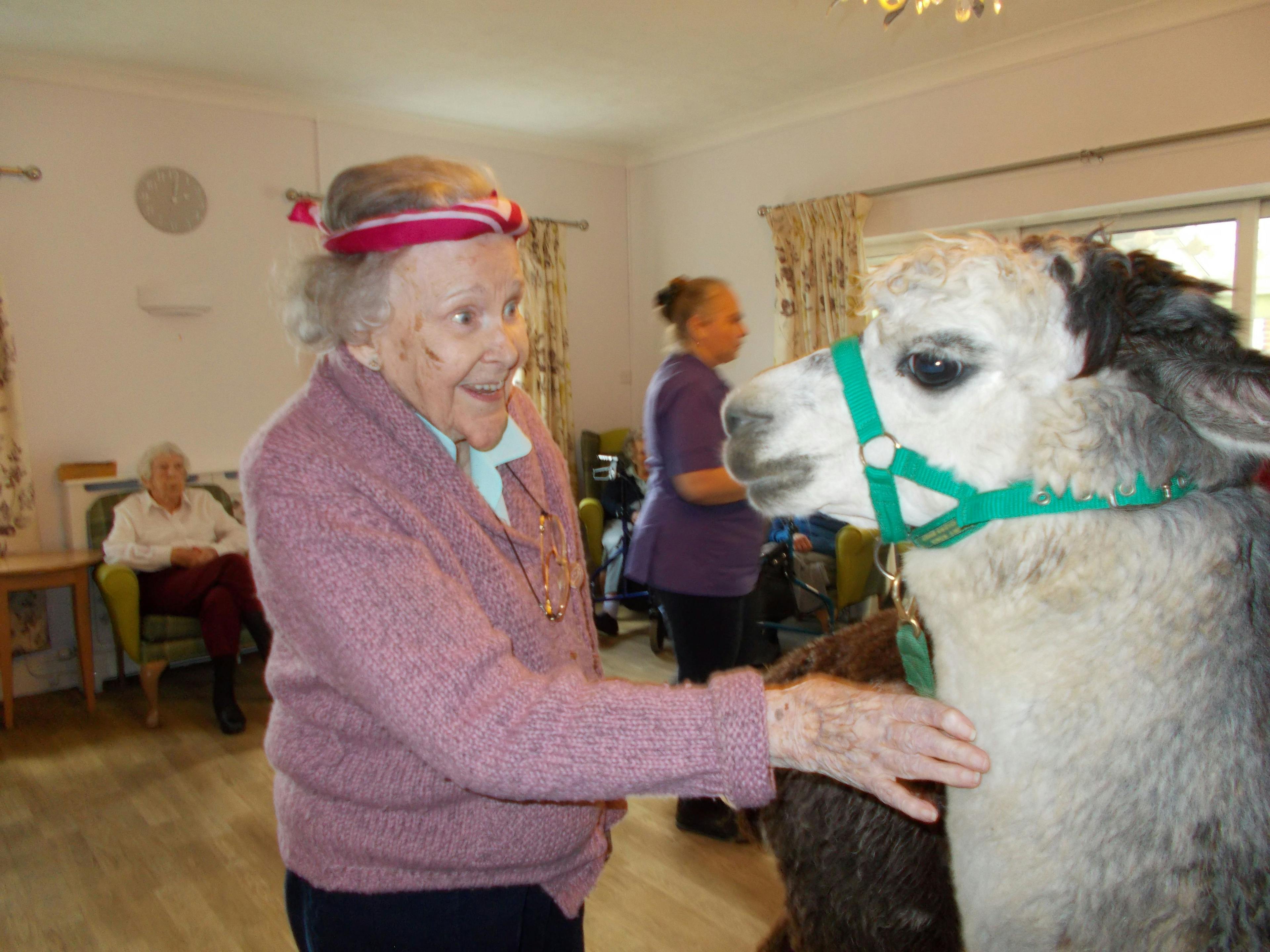 Pet Theapy at Downs House Care Home in Petersfield, Hampshire