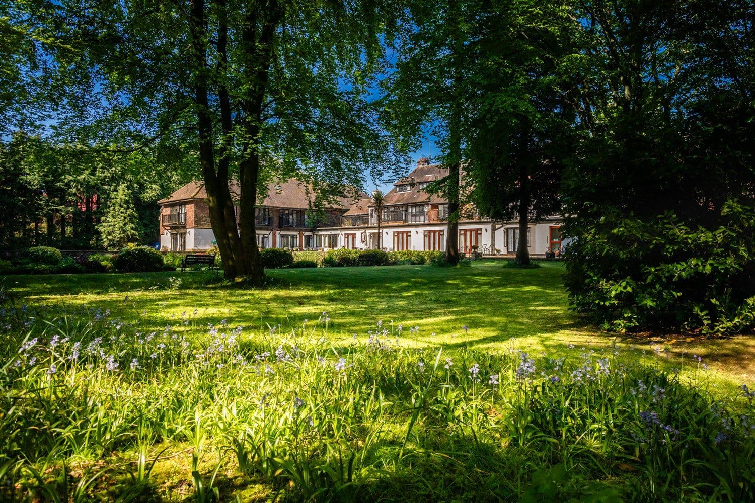 Independent Care Home - Walton Heath Manor care home - 012