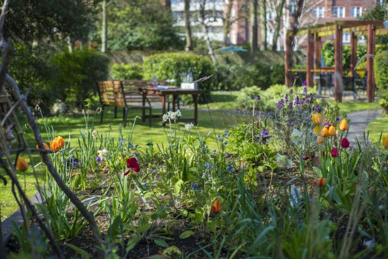 Garden of St Vincents House Care Home in London, England
