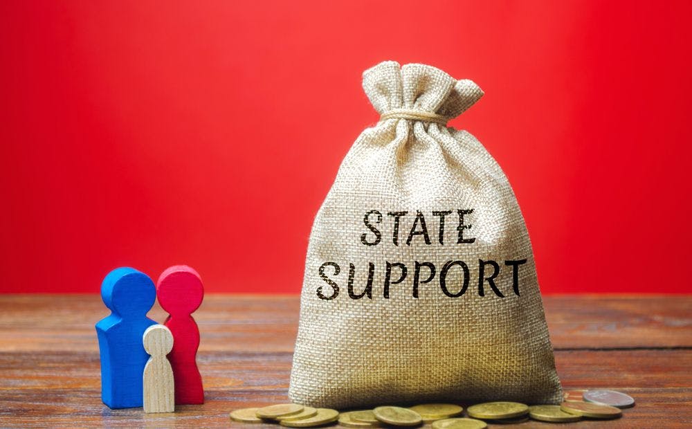 State support money bag