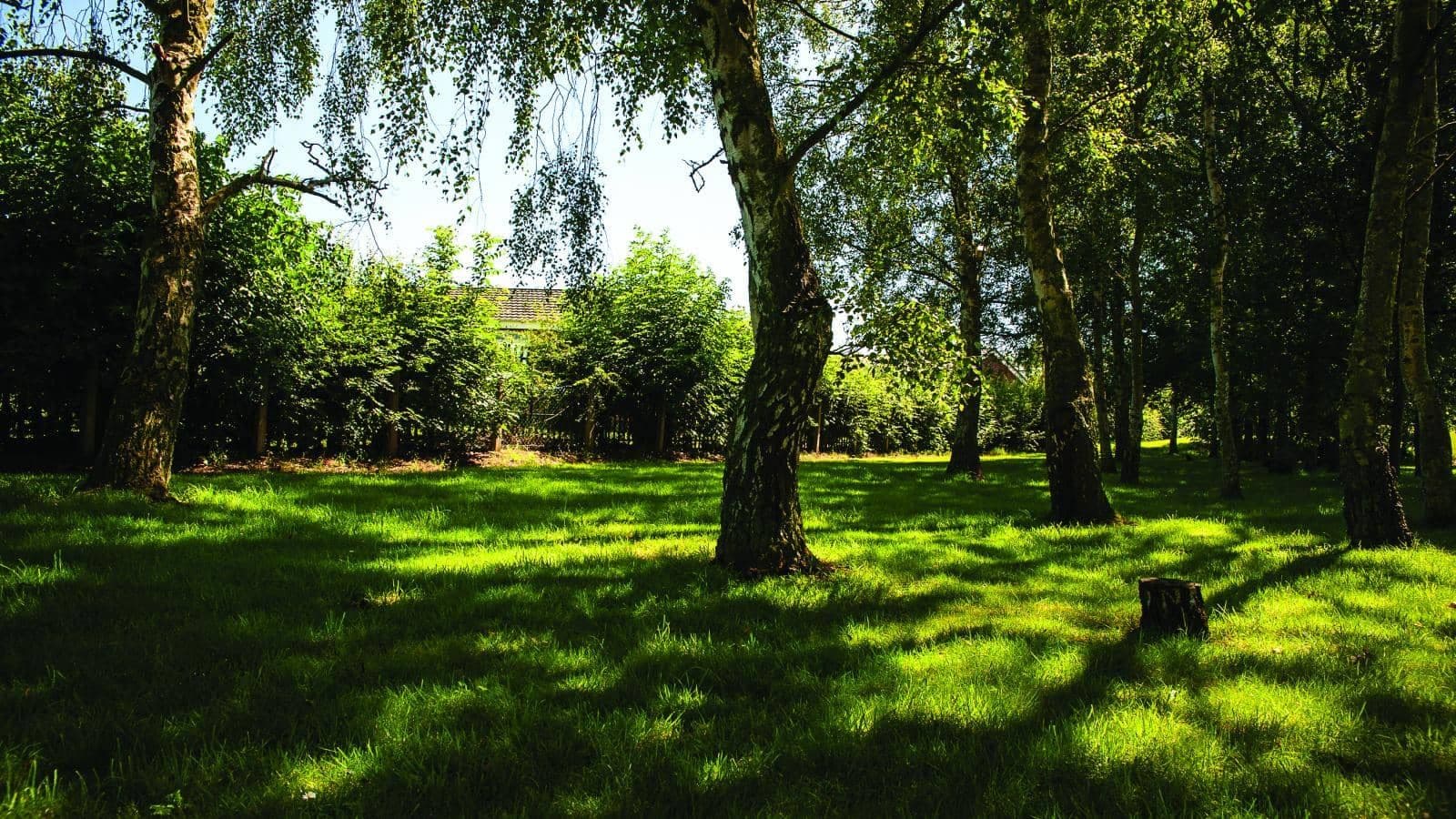 MHA - Queensway House care home - 005