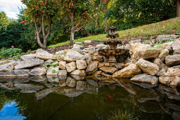 Independent Care Home - Hazelwood care home 13