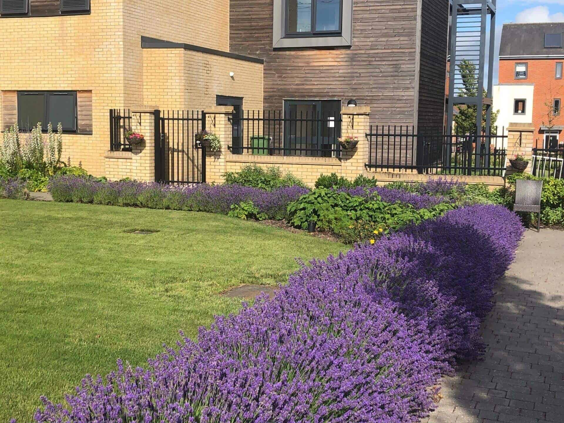 Exterior photo and garden at Wellington Vale Care Home in Portsmouth