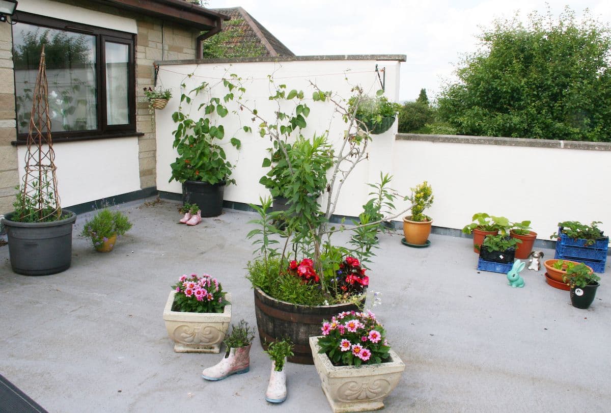 Country Court - The Laurels care home 5