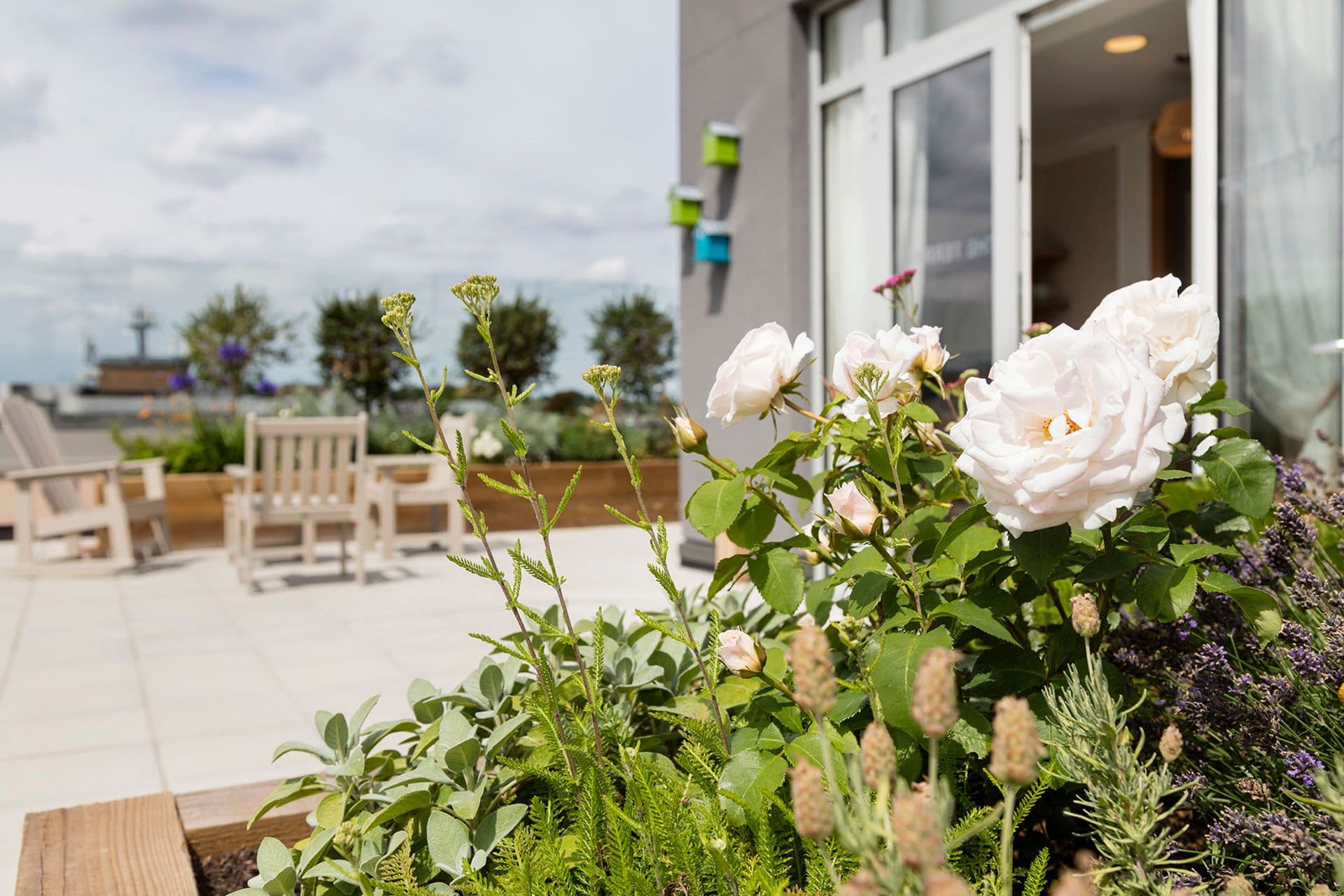 Garden at Camberley Heights Care Home in Camberley, Surrey