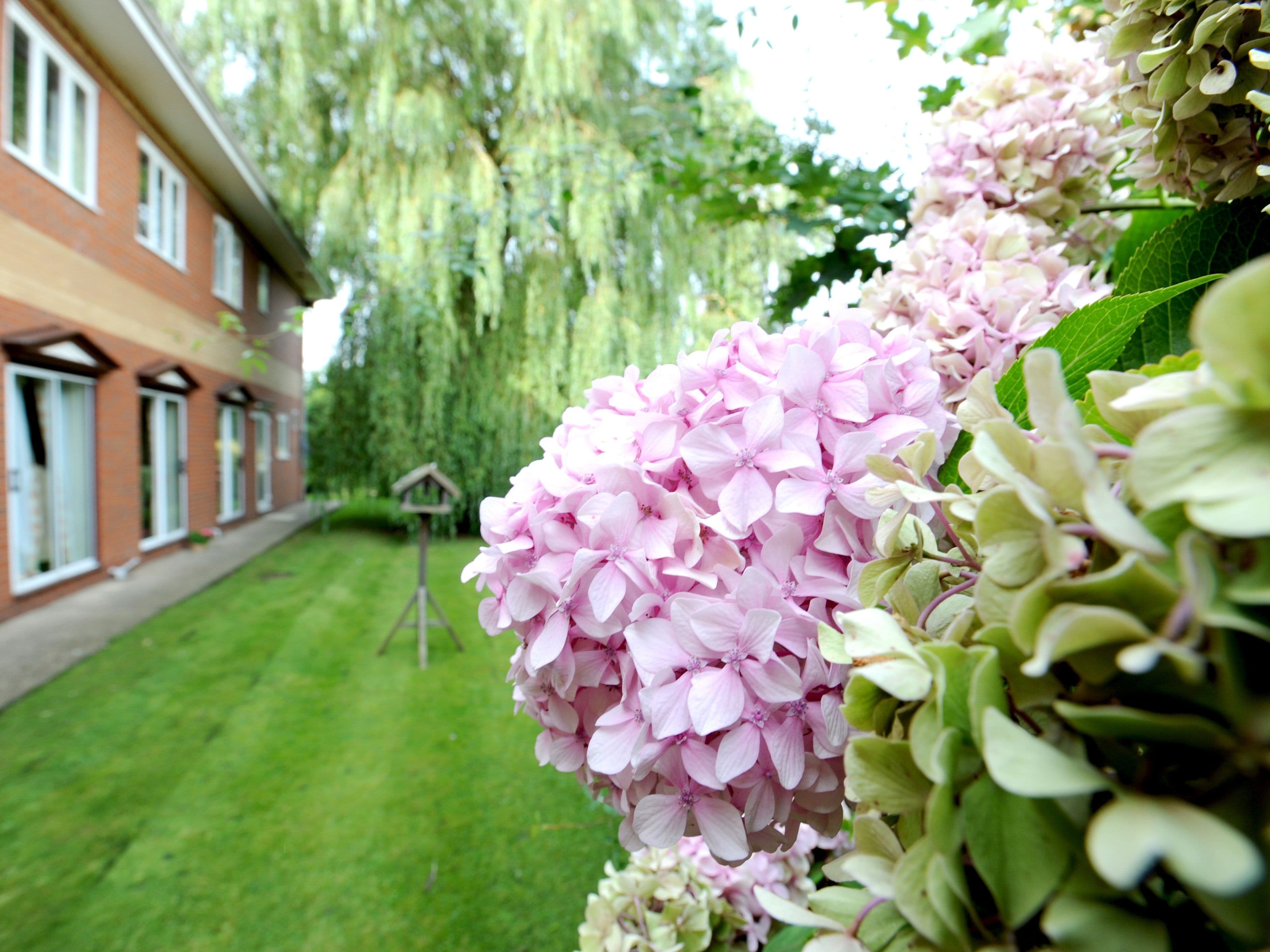 Garden area of Sandpiper care home in Alford, Lincolnshire