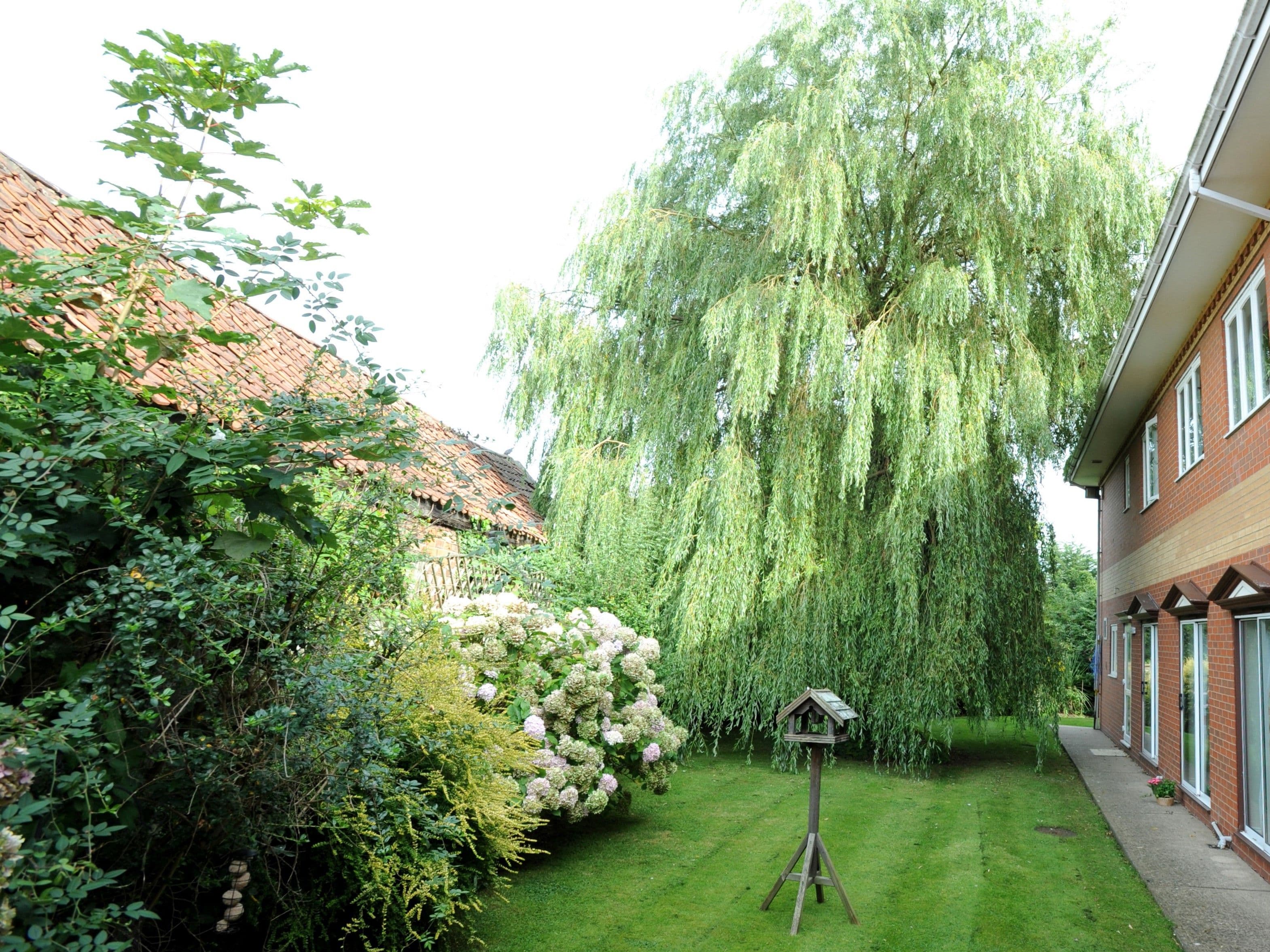 Garden of Sandpiper care home in Alford, Lincolnshire