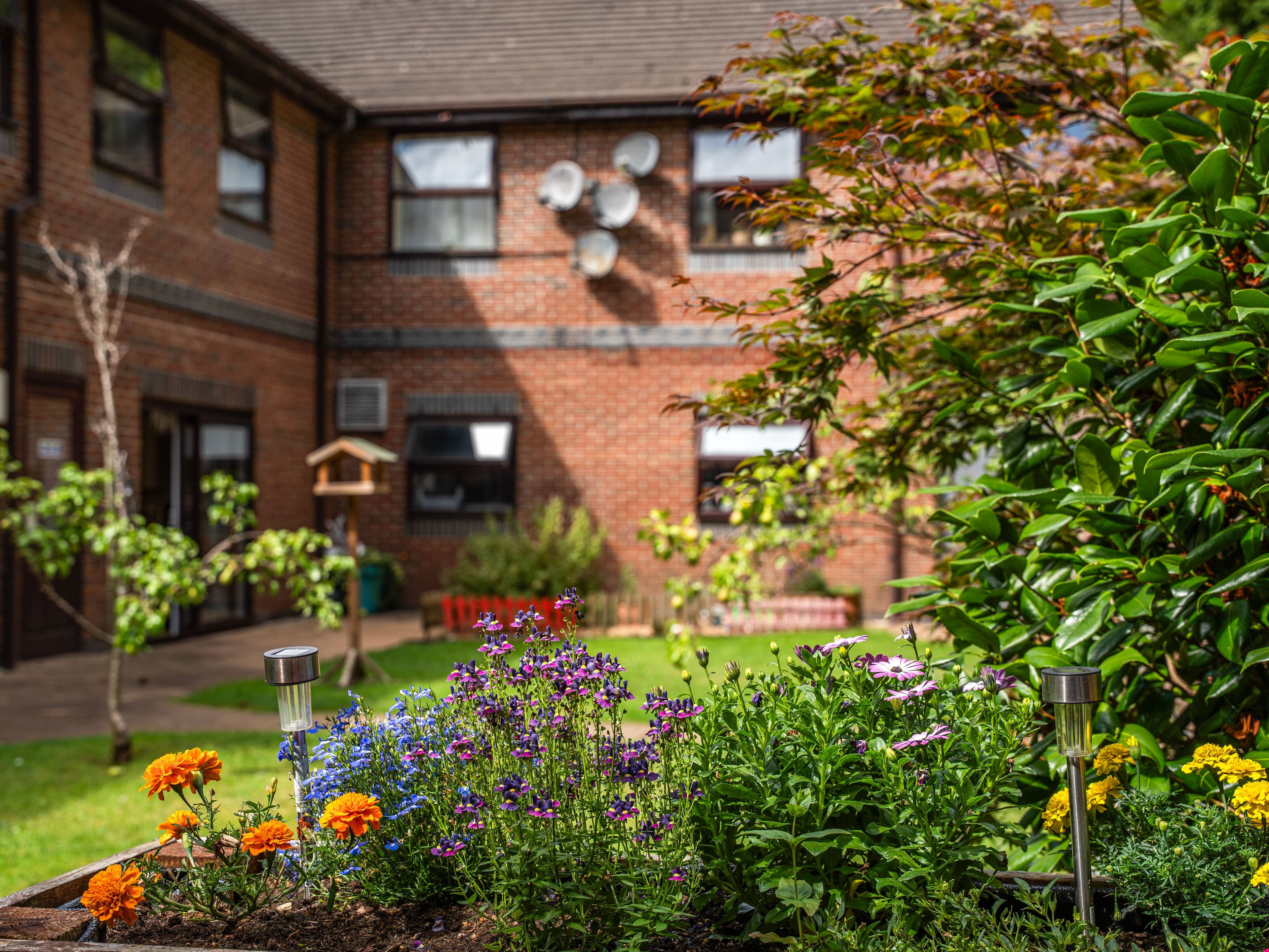 Harbour Healthcare - Treetops Court care home - 018
