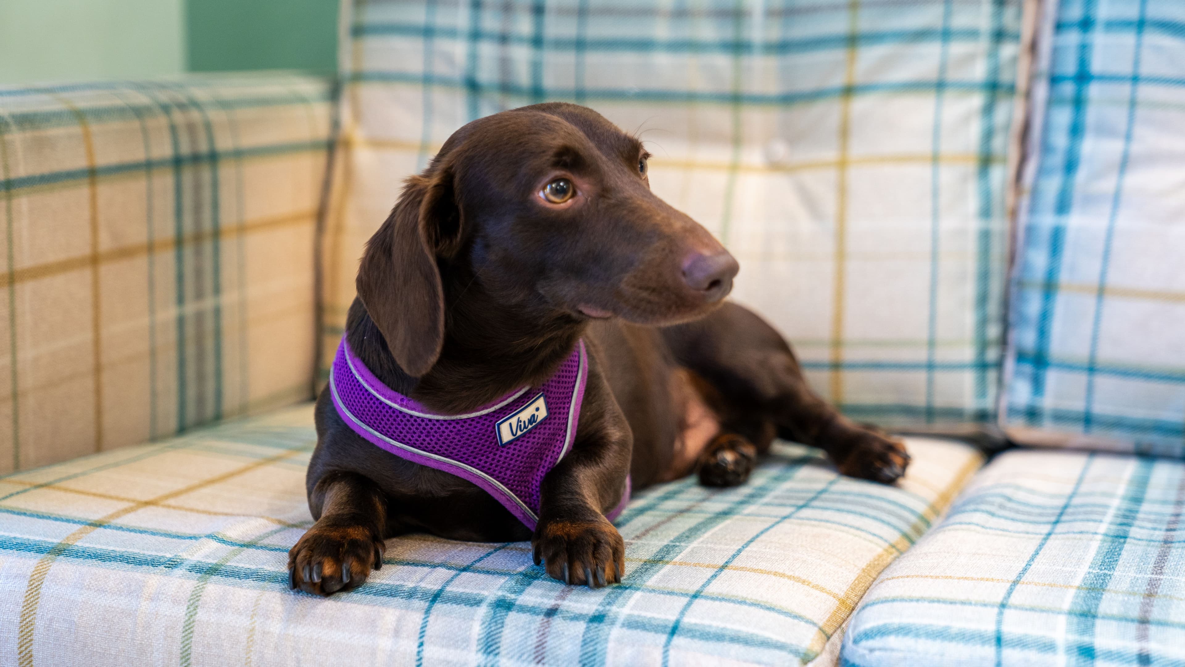 Sanctuary Care - Briarscroft care home - 012