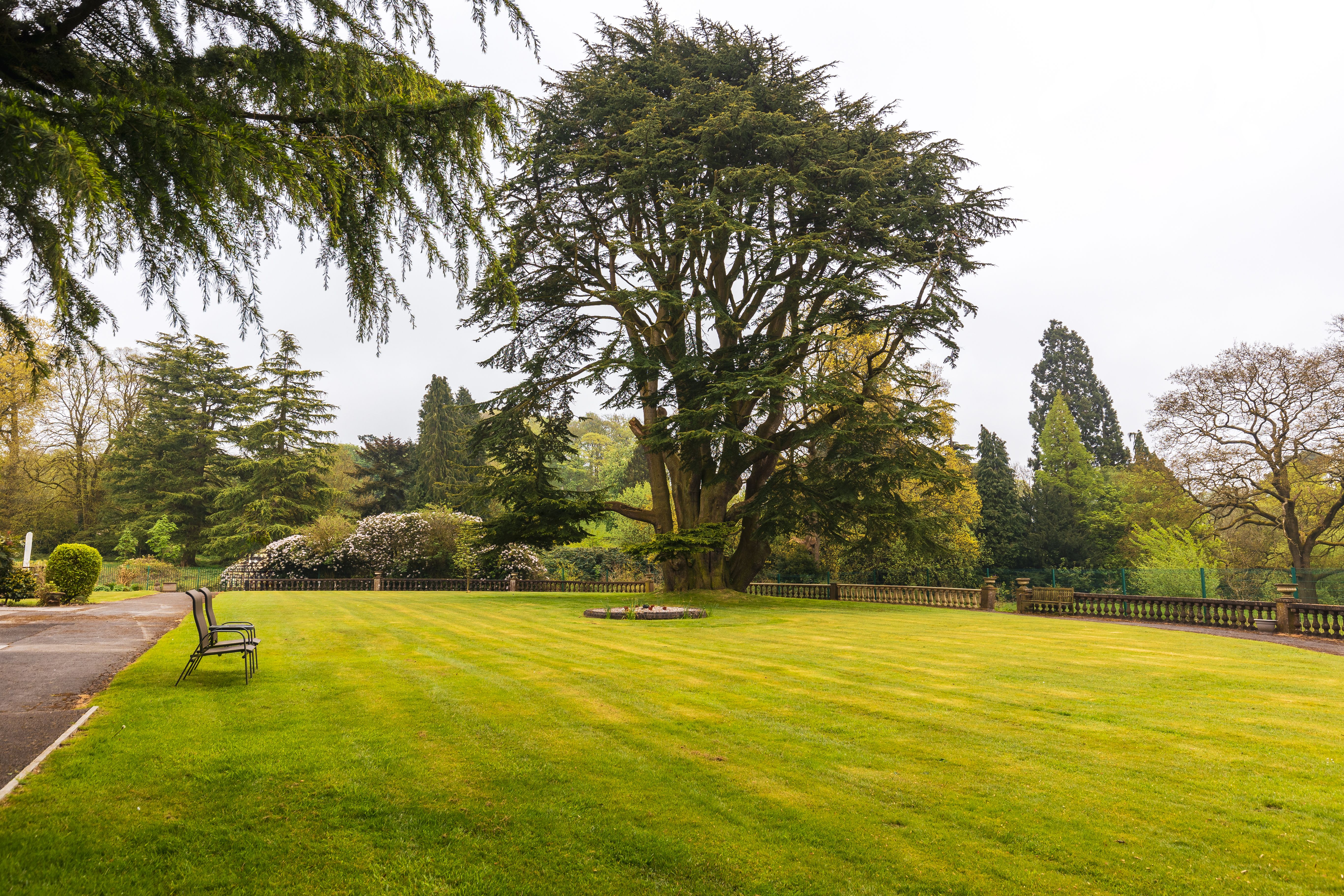 Barchester Healthcare - Barchester Healthcare Hilderstone Hall care home - 022
